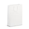 White Gloss Paper Boutique Bags