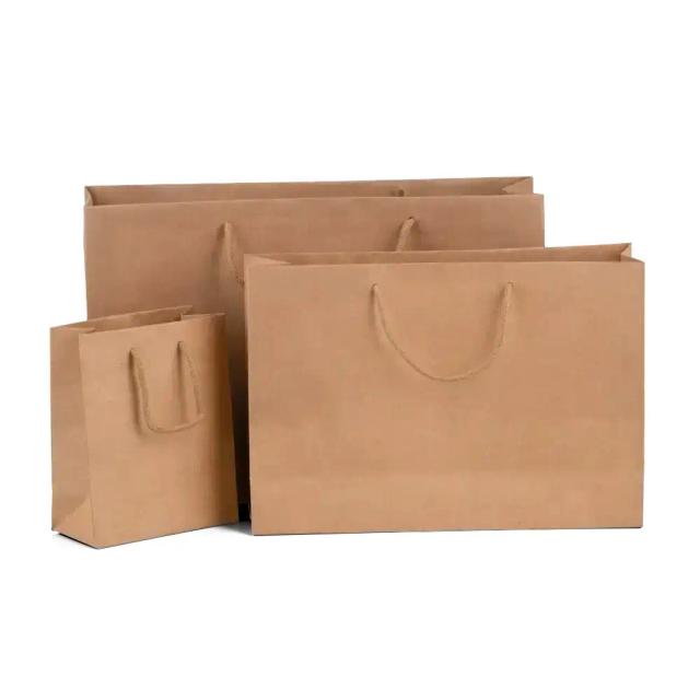 Boutique Natural Kraft Gift Bags